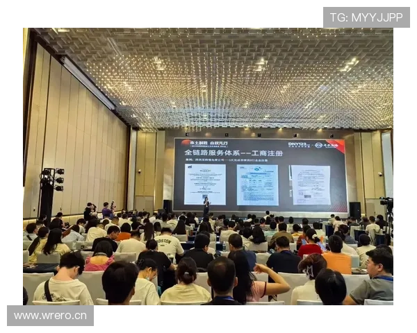 开云网站的国际物流与配送服务，助你轻松跨境购物