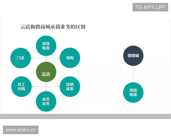 云开中文站：打造一站式中文学习体验，满足不同水平学习者的多样需求
