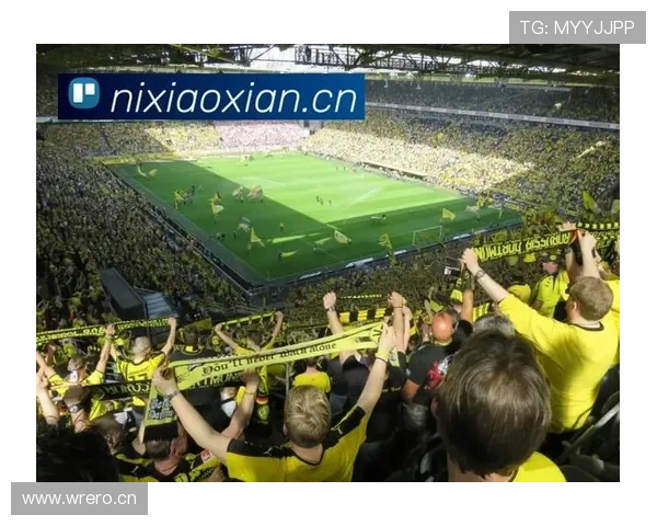 Kaiyun开云国际版助力体育迷畅享世界级赛事，开启全新的互动娱乐体验