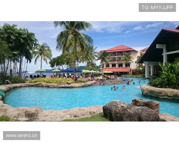 开云官网注册流程详细解析，助你轻松开启精彩游戏之旅